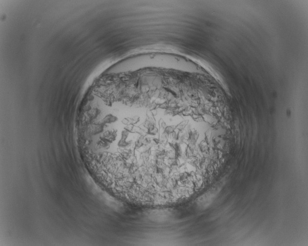 X0000078240998200612011600