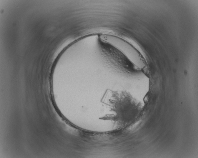 X0000078240999200612011600