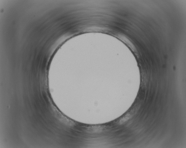 X0000078241000200612011600