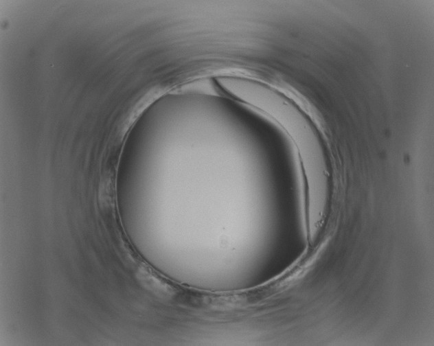 X0000078241001200612011600