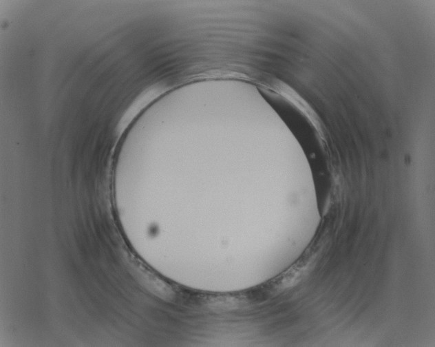 X0000078241002200612011600