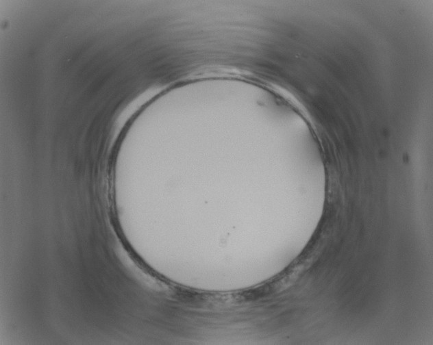 X0000078241003200612011600