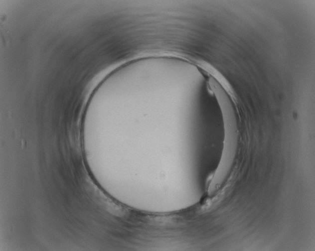 X0000078241004200612011600