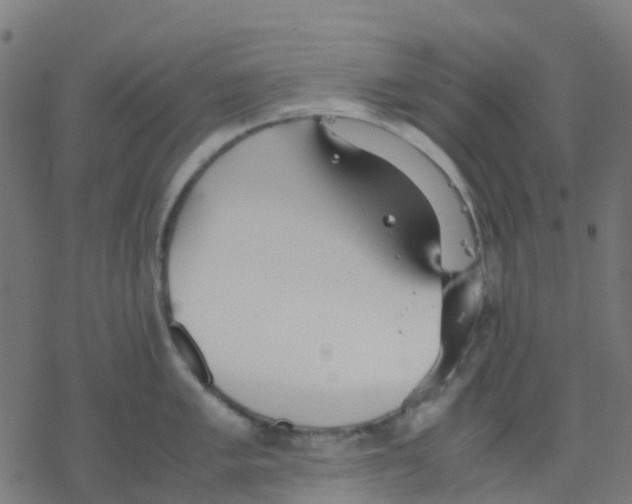 X0000078241005200612011600