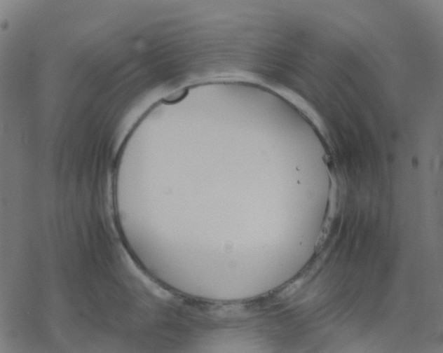 X0000078241006200612011600