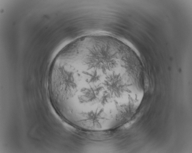 X0000078241007200612011600