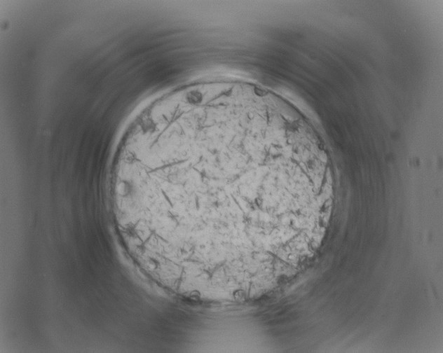 X0000078241008200612011600