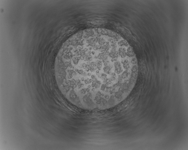 X0000078241009200612011559