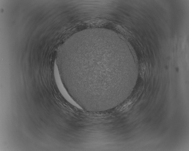 X0000078241010200612011559