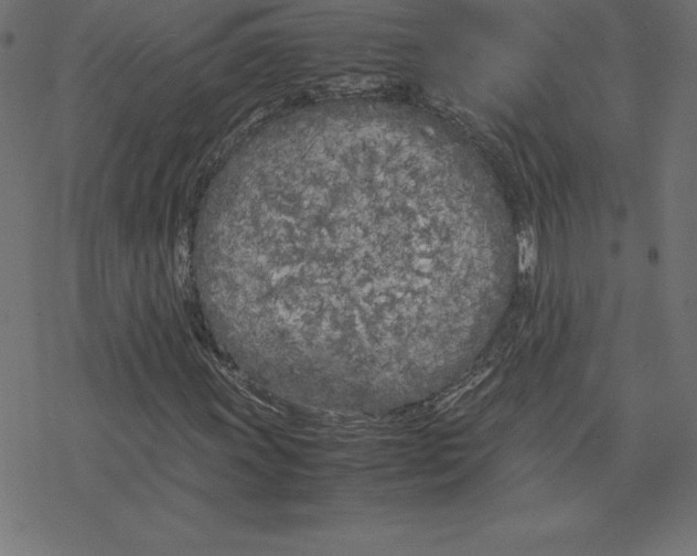 X0000078241011200612011559