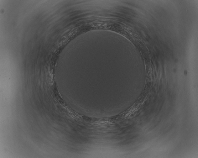 X0000078241013200612011559