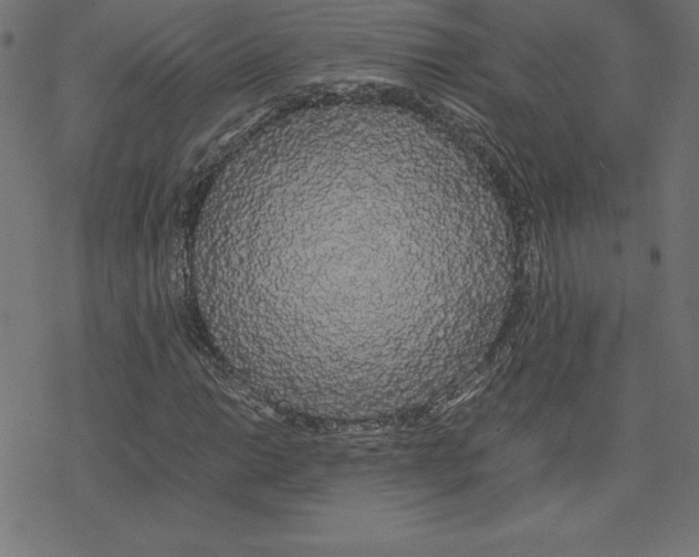 X0000078241014200612011559