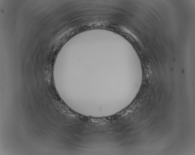 X0000078241015200612011559