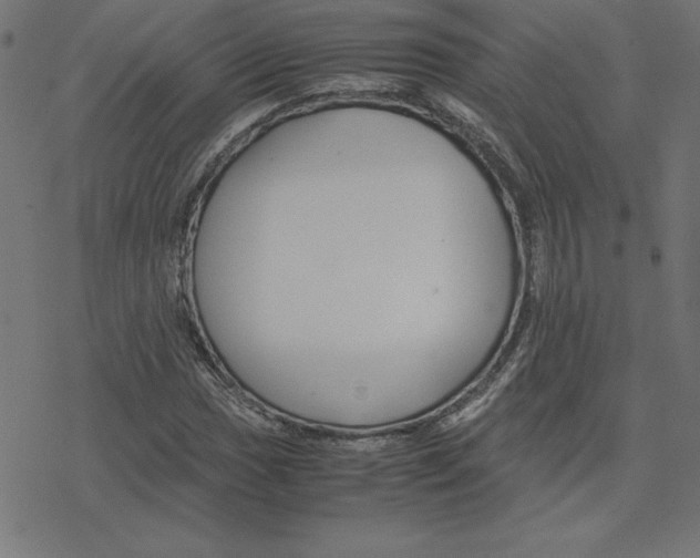 X0000078241017200612011559