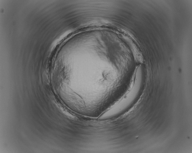 X0000078241018200612011559