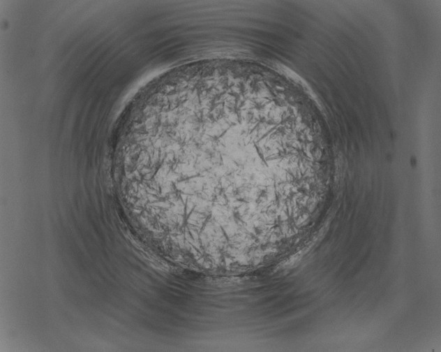 X0000078241019200612011559