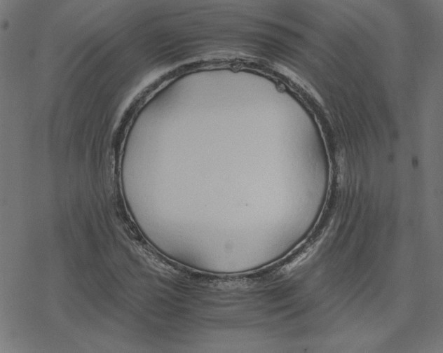 X0000078241021200612011559