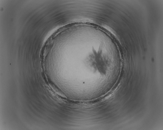 X0000078241022200612011559