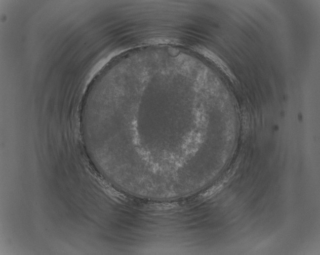 X0000078241023200612011559