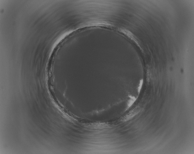 X0000078241024200612011559