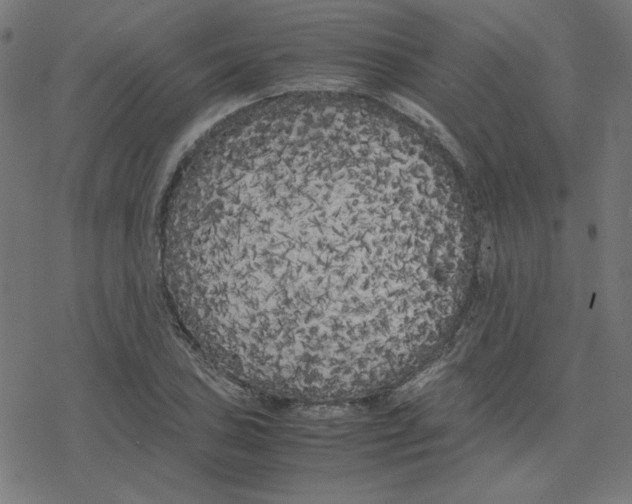 X0000078241027200612011559