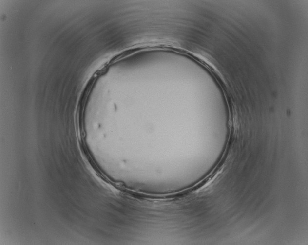 X0000078241030200612011559