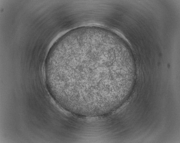 X0000078241032200612011559