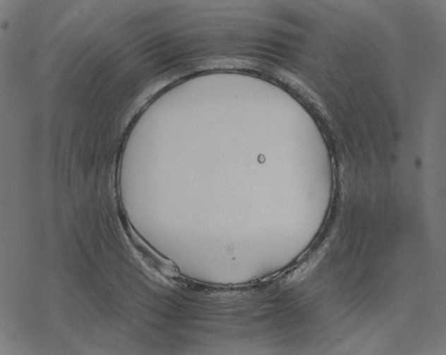 X0000078241033200612011559