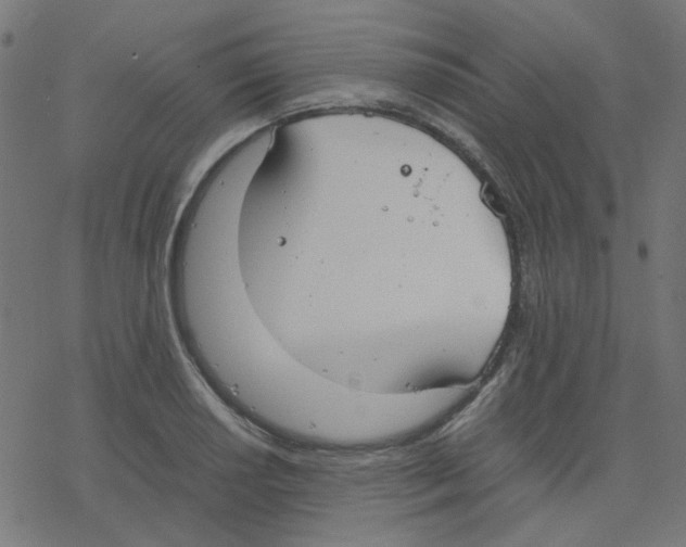 X0000078241034200612011559