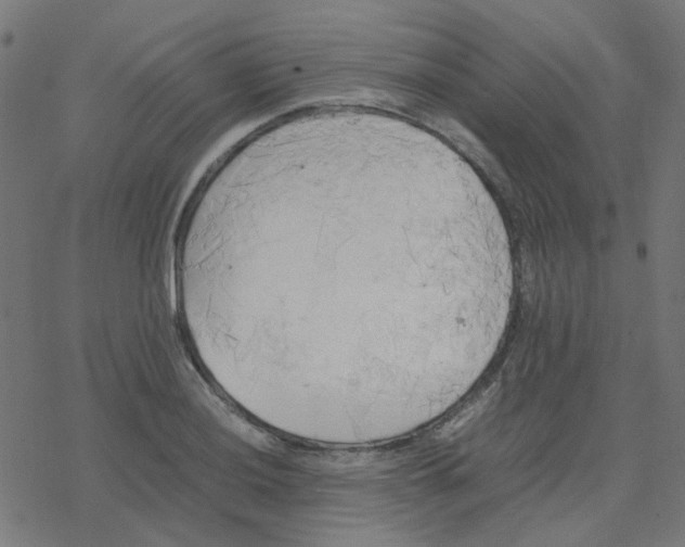 X0000078241036200612011559