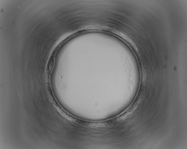 X0000078241037200612011559