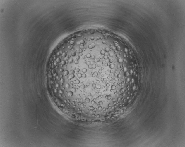 X0000078241038200612011559