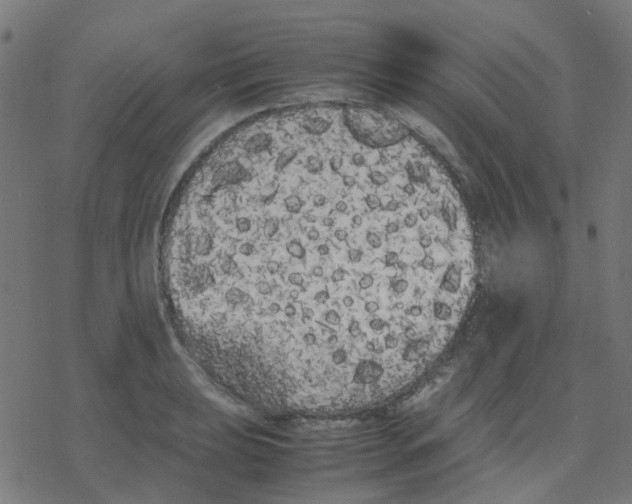 X0000078241039200612011559