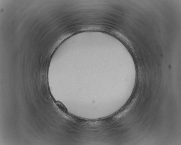 X0000078241041200612011559