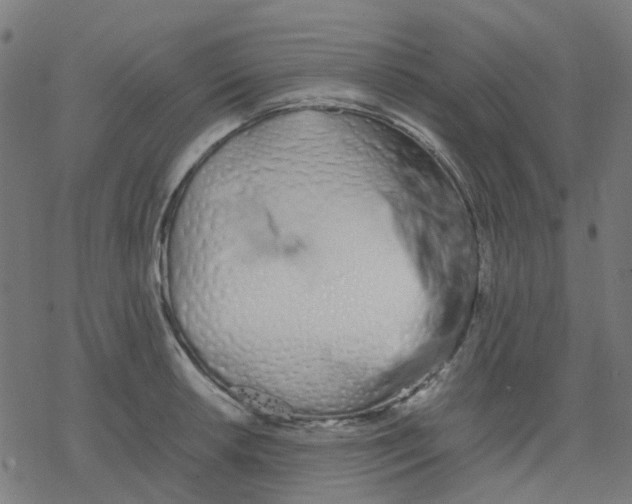 X0000078241042200612011559