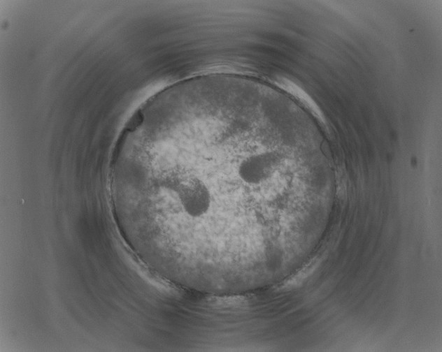 X0000078241043200612011559