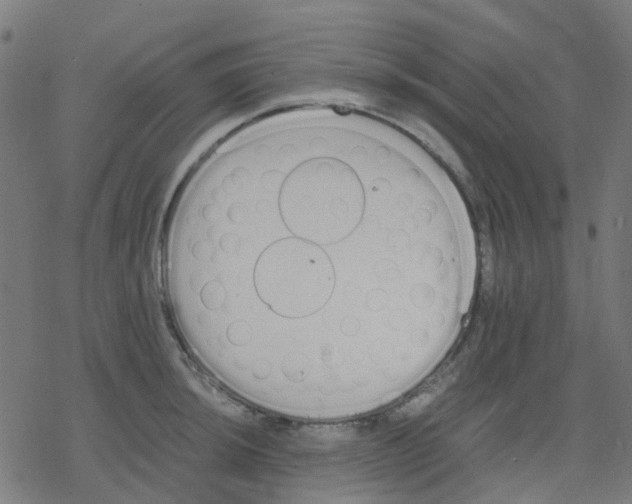 X0000078241044200612011559