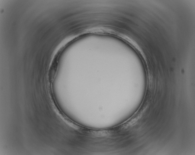 X0000078241045200612011600