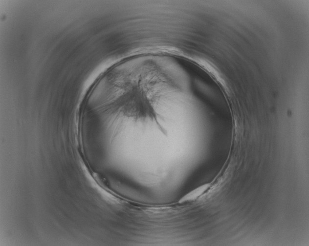 X0000078241046200612011600