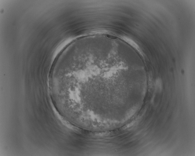 X0000078241047200612011600