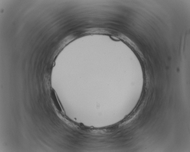 X0000078241049200612011600