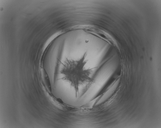 X0000078241050200612011600