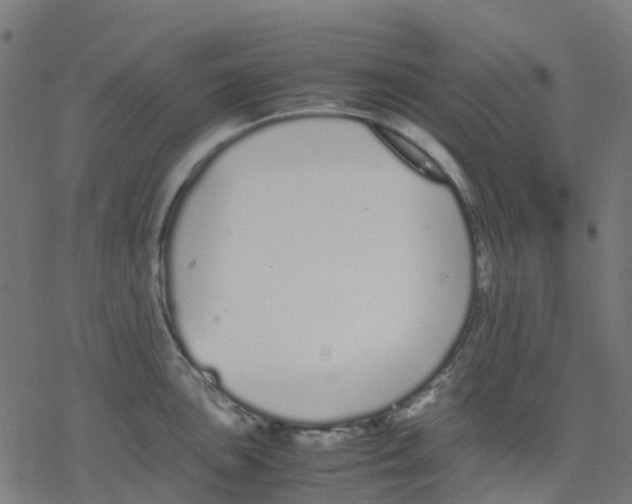 X0000078241051200612011600