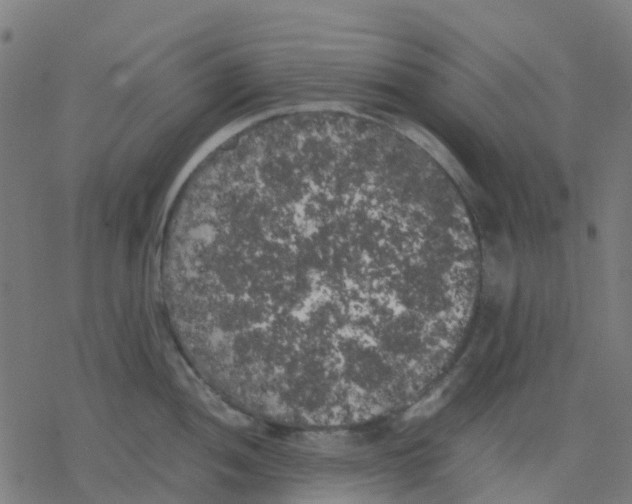 X0000078241052200612011600