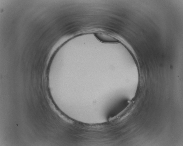 X0000078241053200612011600