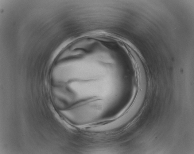 X0000078241054200612011600