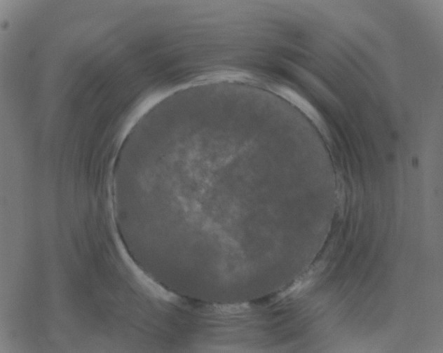 X0000078241055200612011600