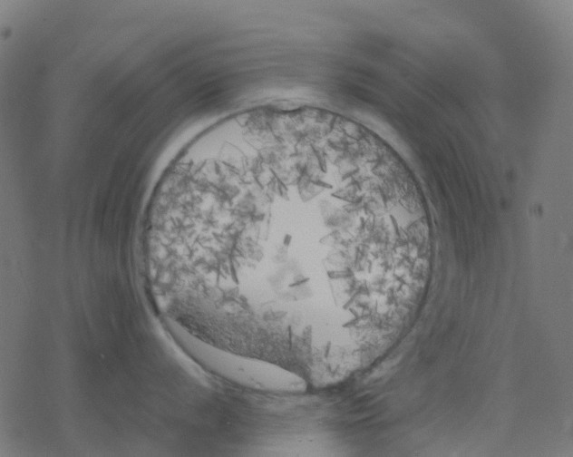 X0000078241056200612011600