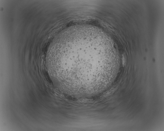 X0000078241059200612011559