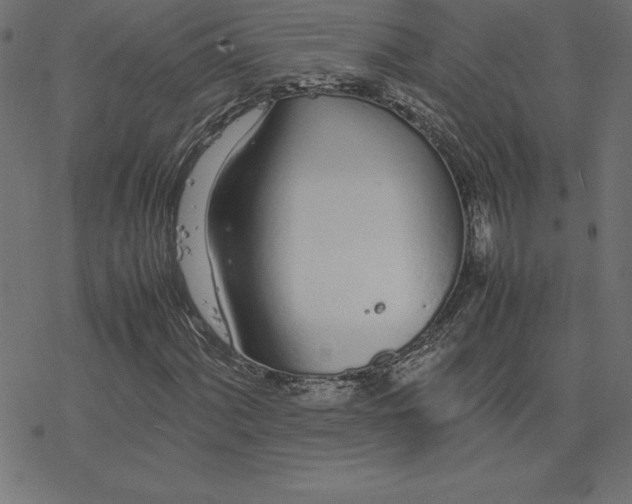 X0000078241060200612011559